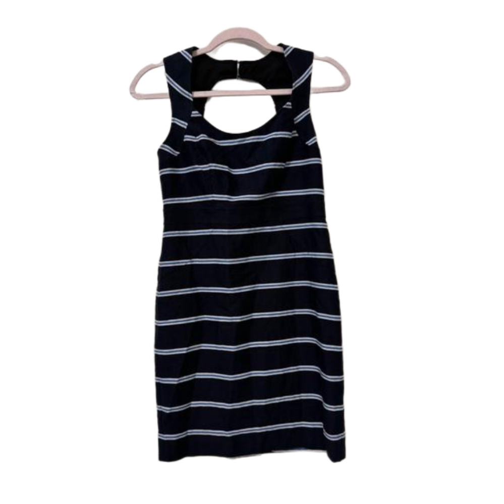 Ann Taylor fitted Dress